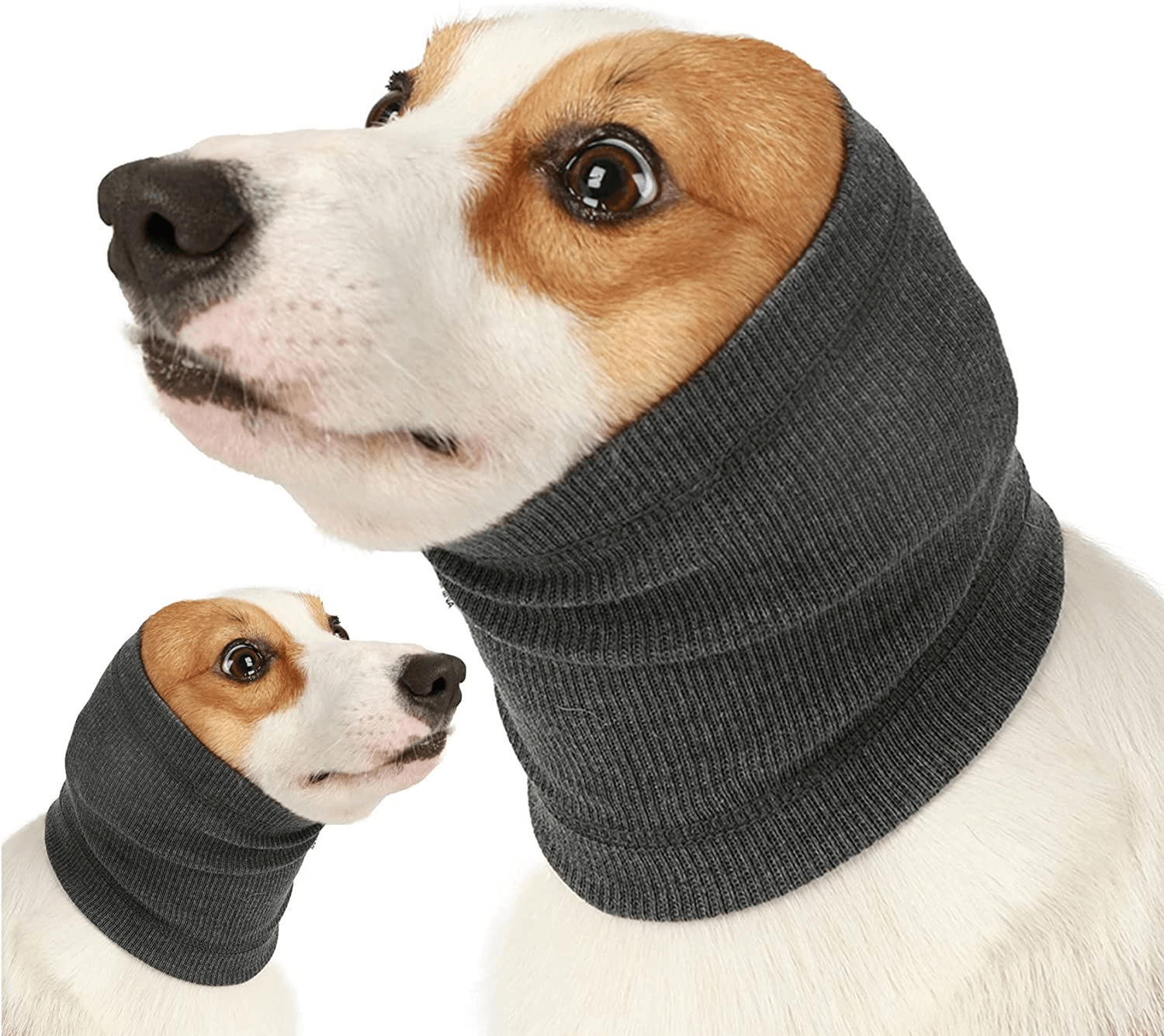 5 Best Quiet Ears For Dogs Eeyore Of 2023 We Reviewed and Tried Latest